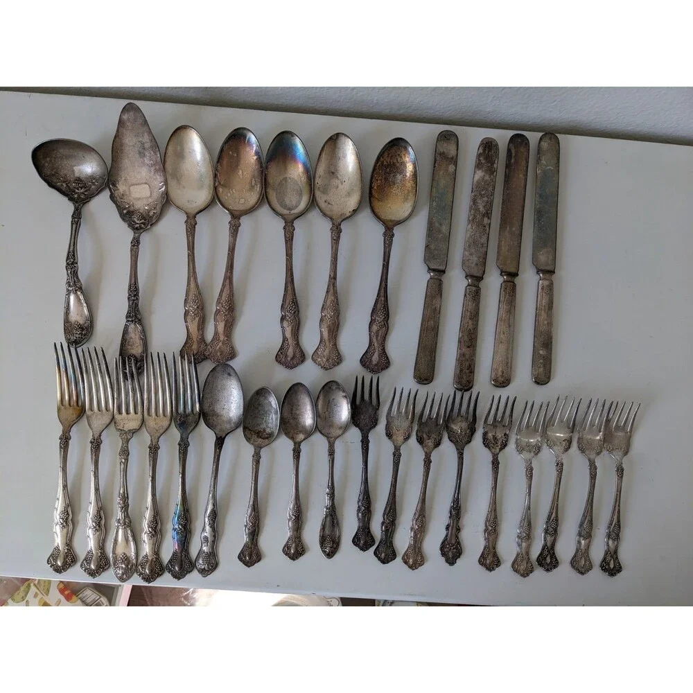 1847 Rogers Bros Grapes Pattern XS Triple Silverplate 29 Pc Vintage Antique READ